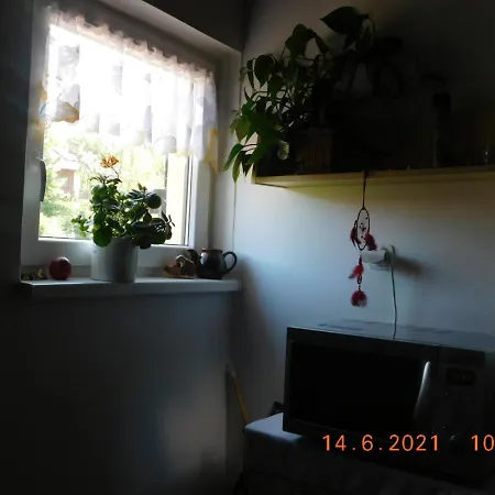 Privat Alena Harrachov