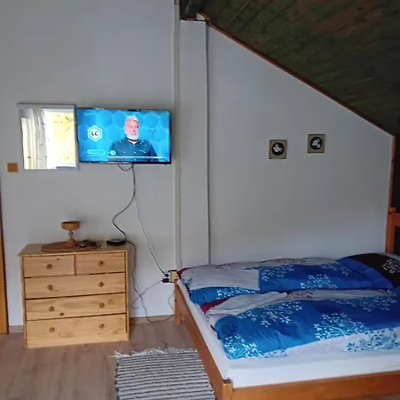 Privat Alena Penzion *