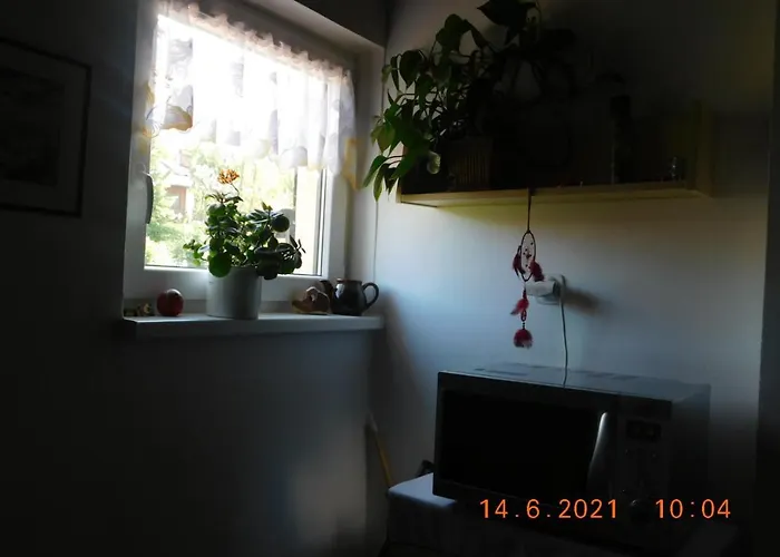 Privat Alena 하라포프